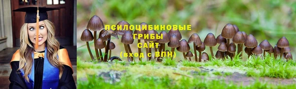 индика Алзамай