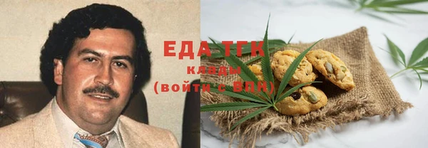 индика Алзамай