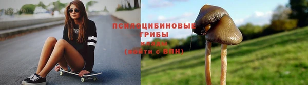 индика Алзамай