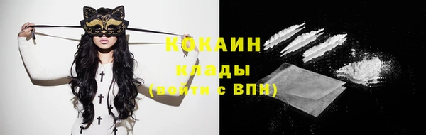 индика Алзамай