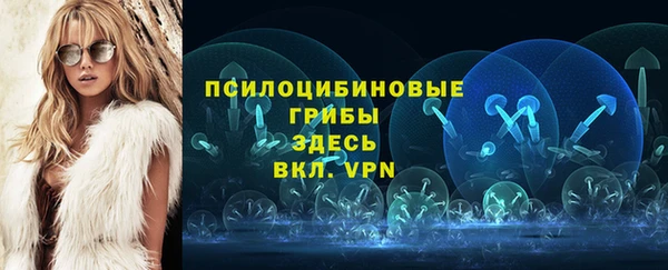 индика Алзамай